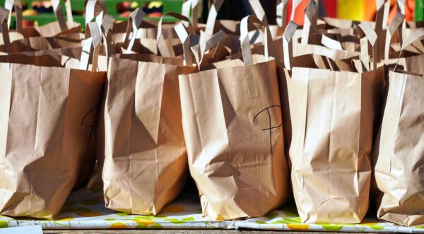 Why Should You Invest In A Paper Bag Business?