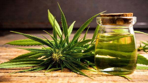 Benefits of Using Ohio Medical Marijuanas For Treatment