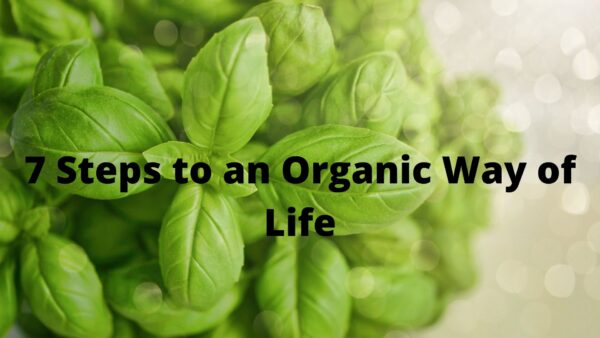 7 Steps to an Organic Way of Life