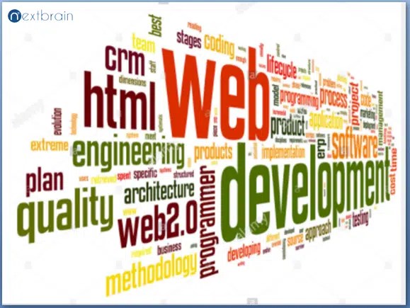  Why You Need A Web Development Company Dubai