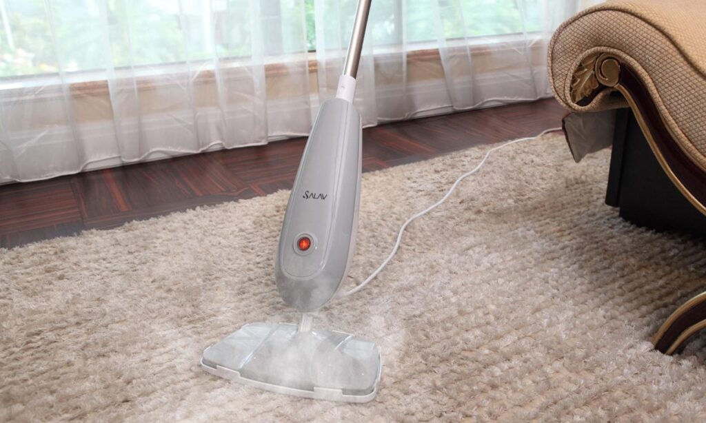 DIY or Self Carpet Steam Cleaning