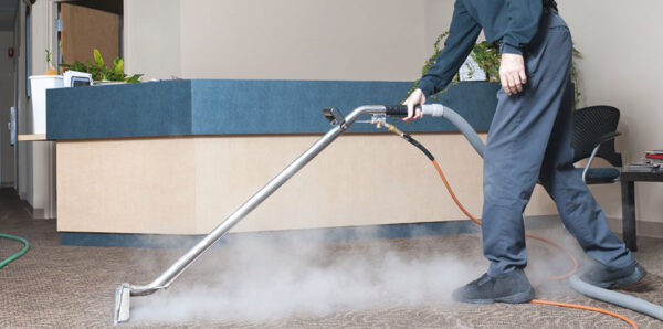 Professional Carpet Steam Cleaning vs DIY Techniques