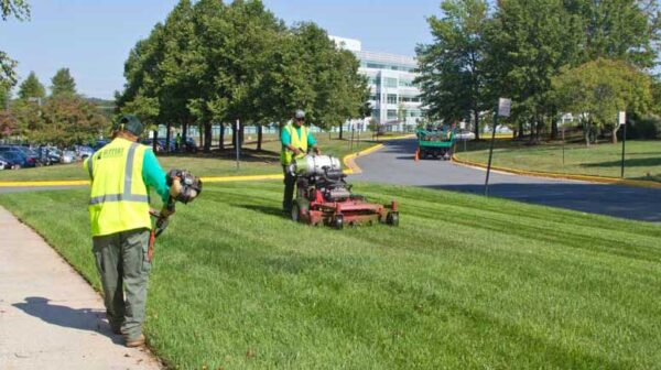 Guidelines And A Checklist For Hiring A Landscaping Contractor