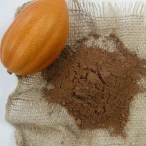 7 Factors To Consider While Placing An Order For Cocoa Powder!