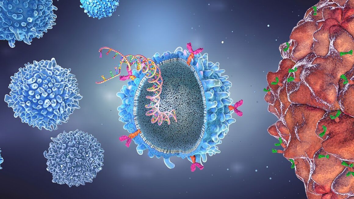 Car-t Cancer cells therapy system